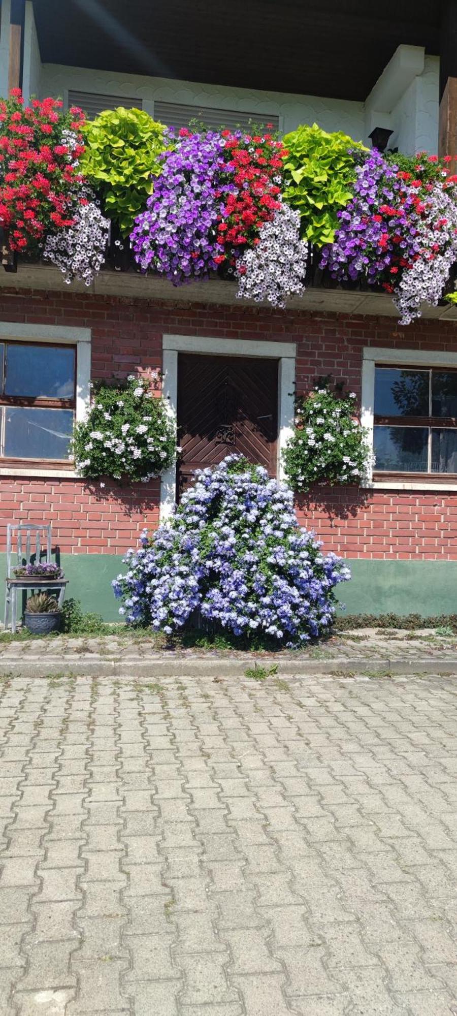 Gaestehaus Fechtig Hergensweiler Exterior photo
